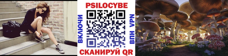 OMG зеркало  Свирск  это наркотические препараты  Галлюциногенные грибы Magic Shrooms 